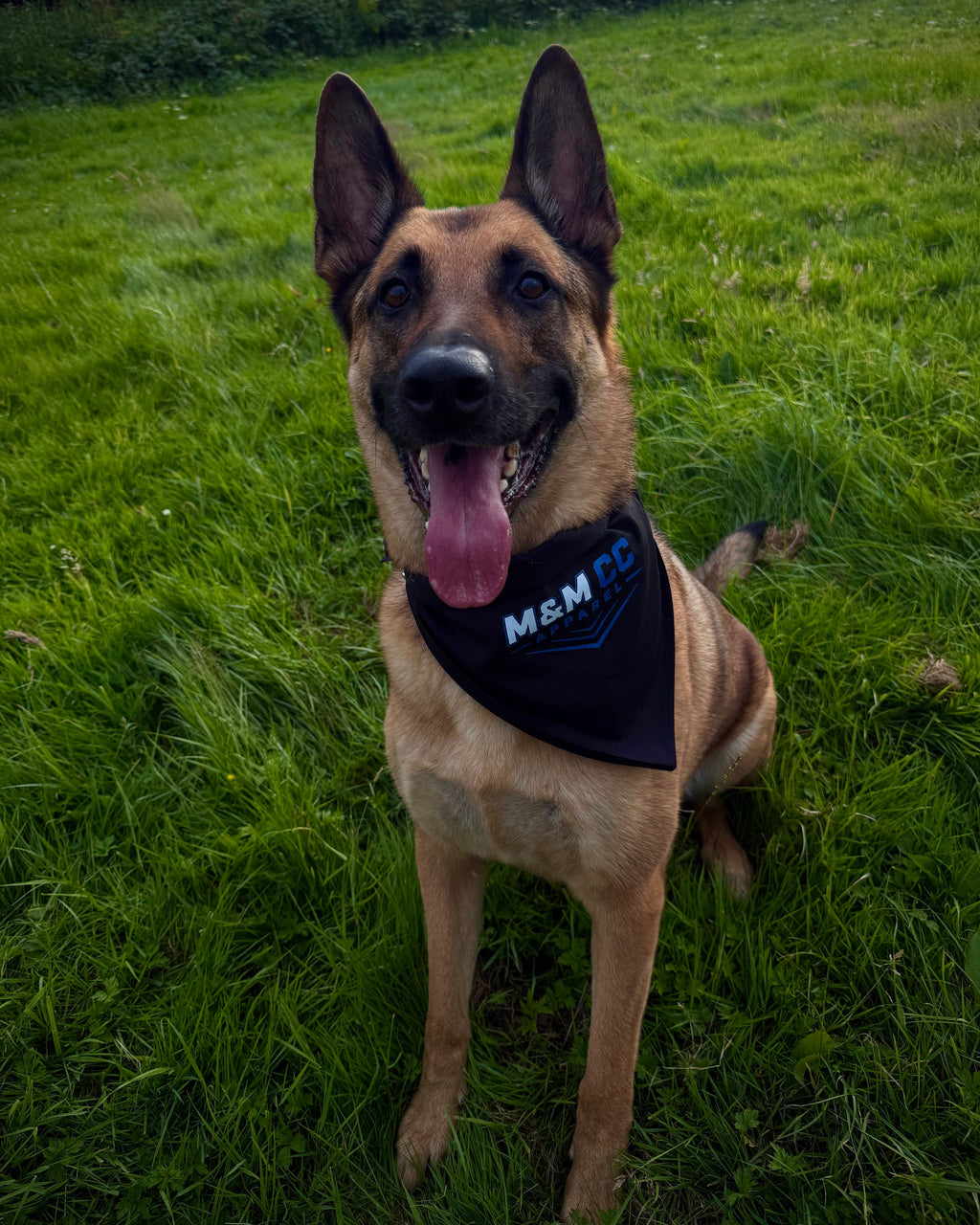 M&M CC Apparel Street Spec Dog Bandana