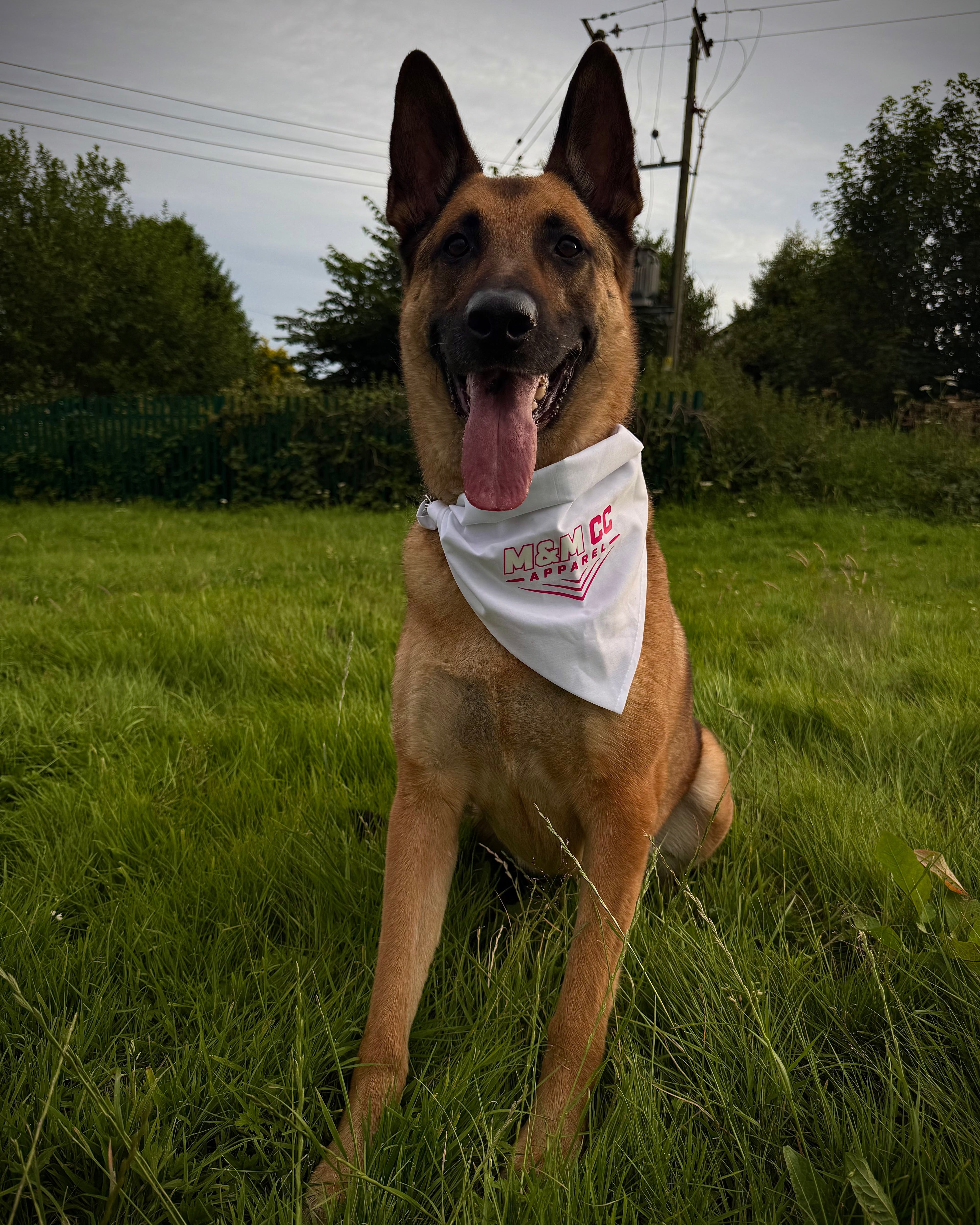 M&M CC Apparel Street Spec Dog Bandana