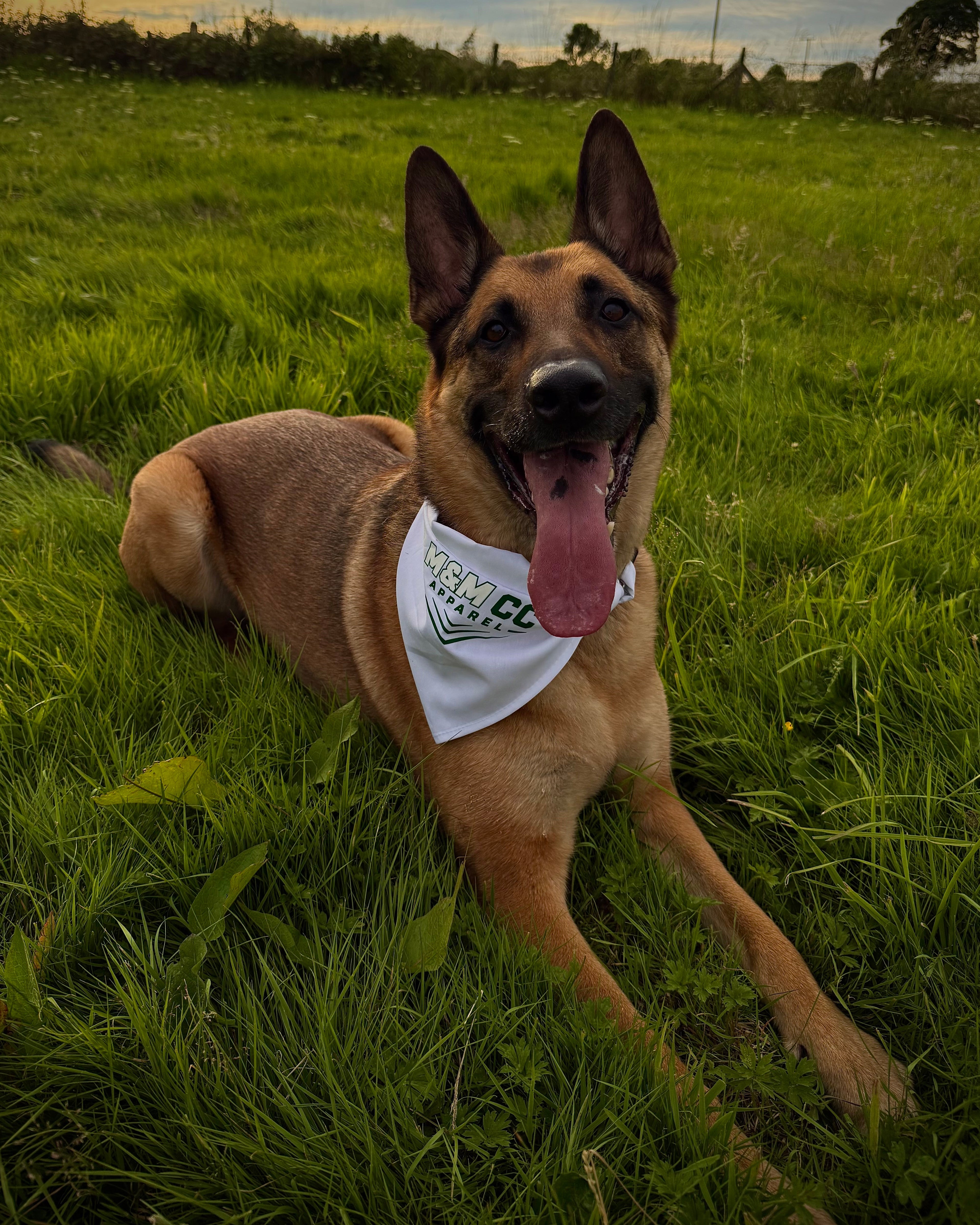 M&M CC Apparel Street Spec Dog Bandana